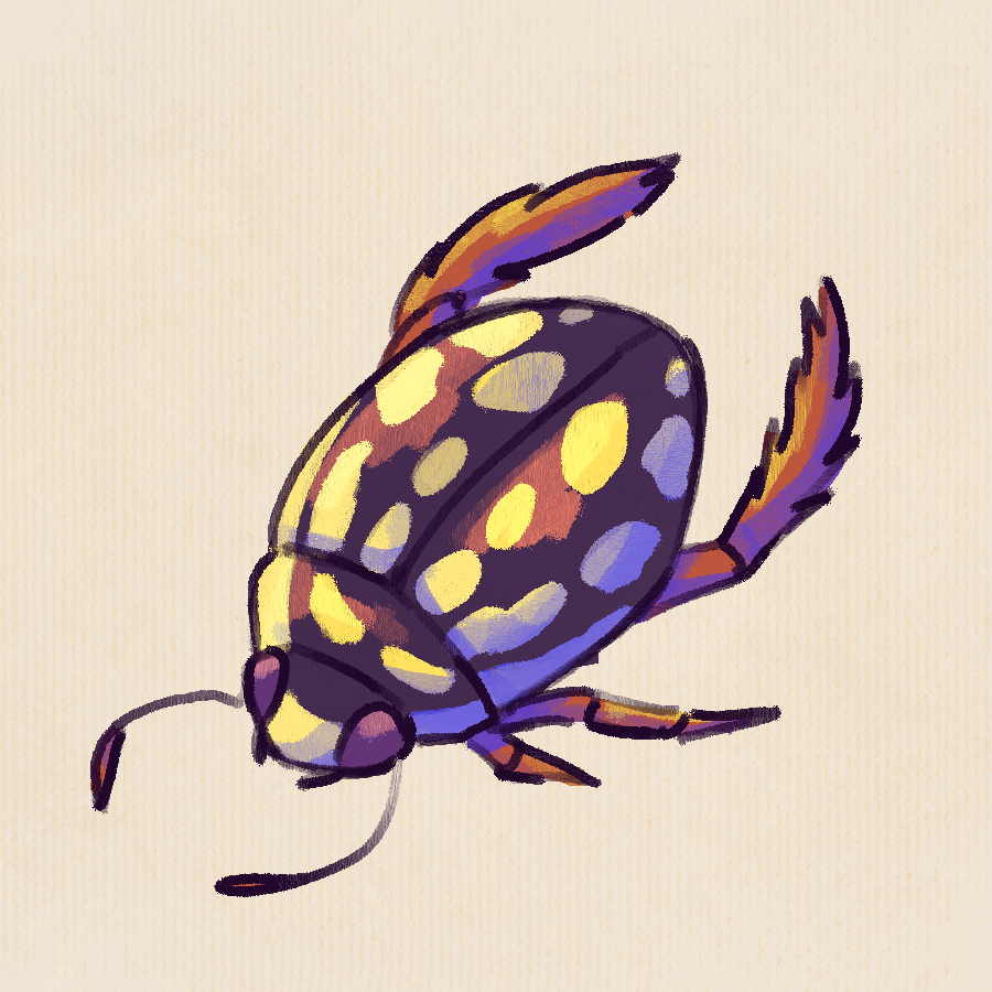 beetle