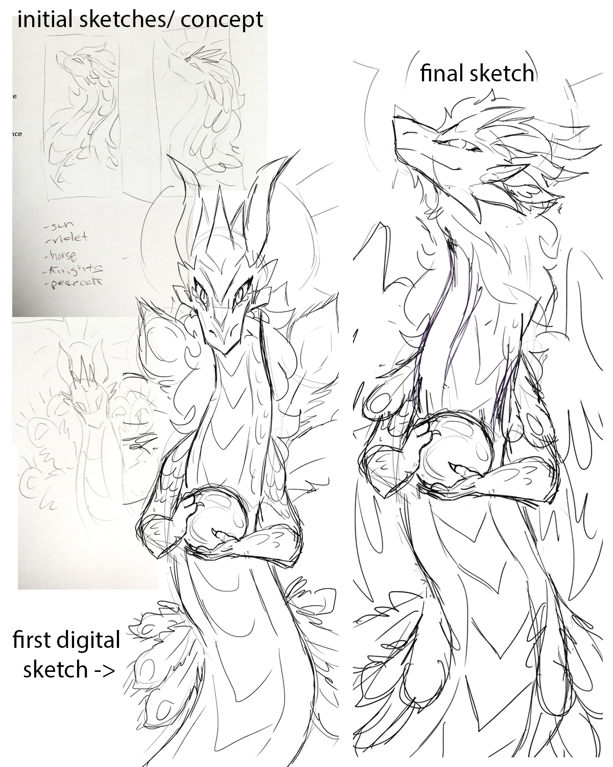 rough sketches