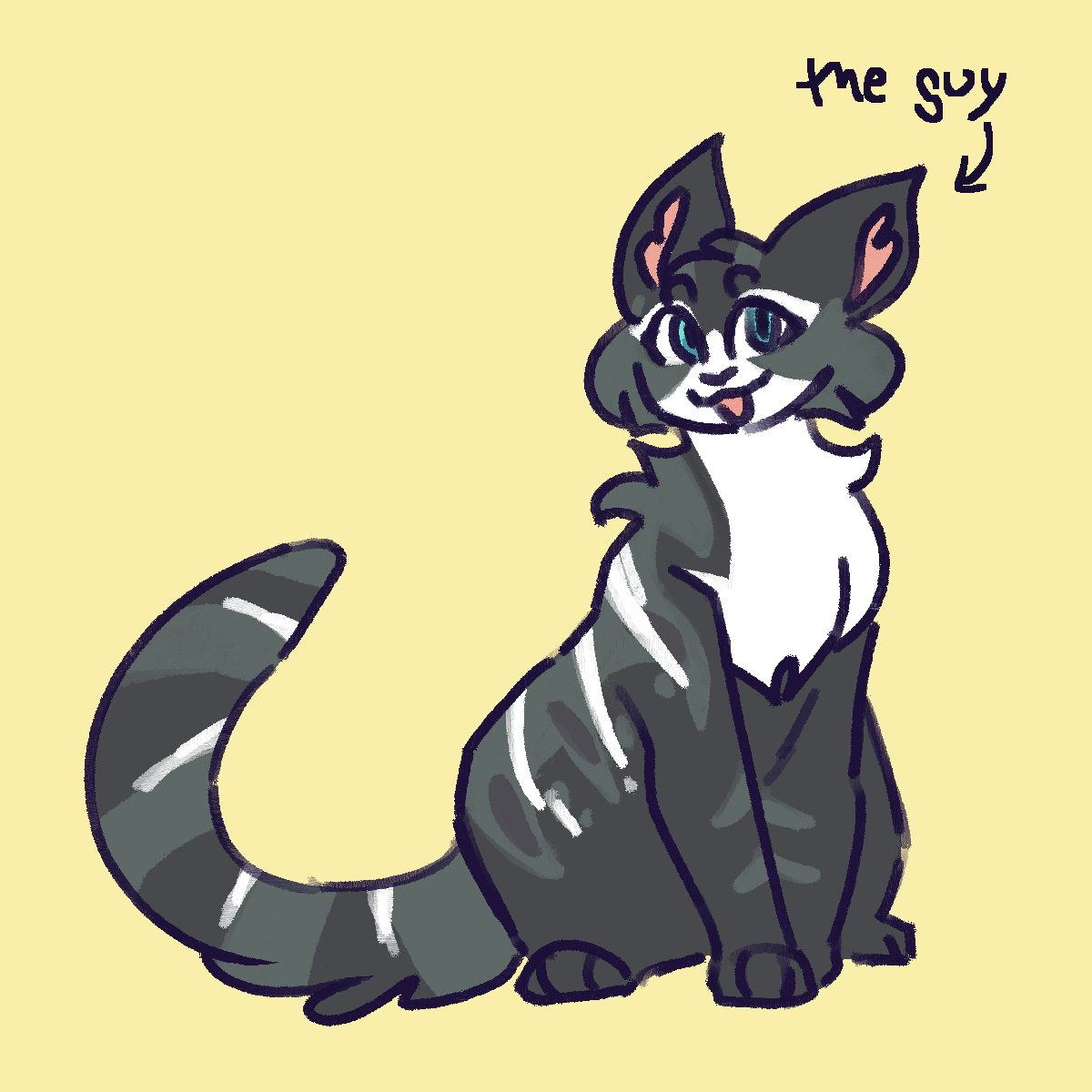 cat